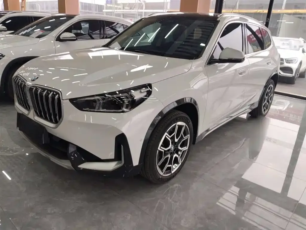 BMW X1 — фото 1