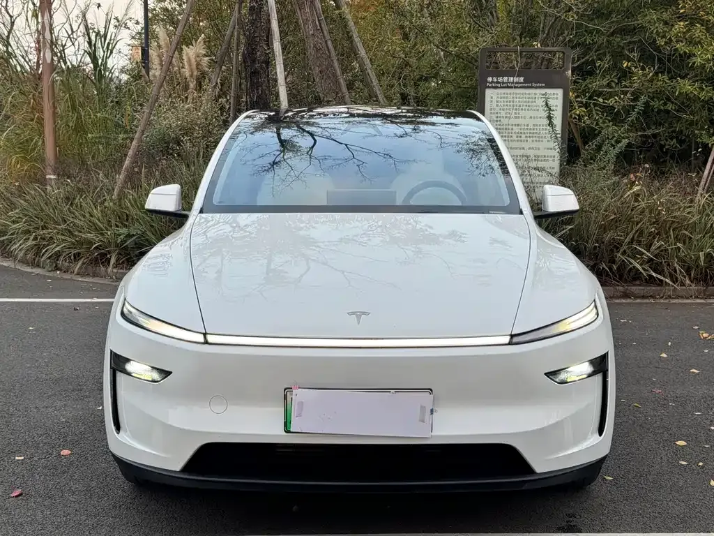 Tesla Model Y — фото 7