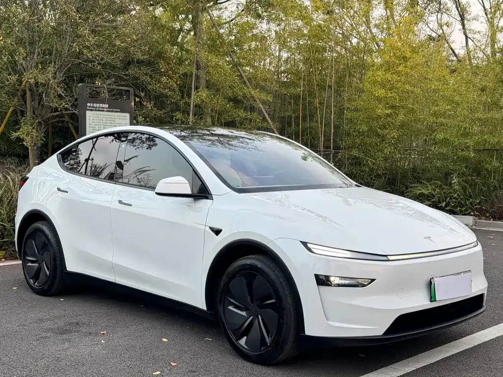 Tesla Model Y — фото 8