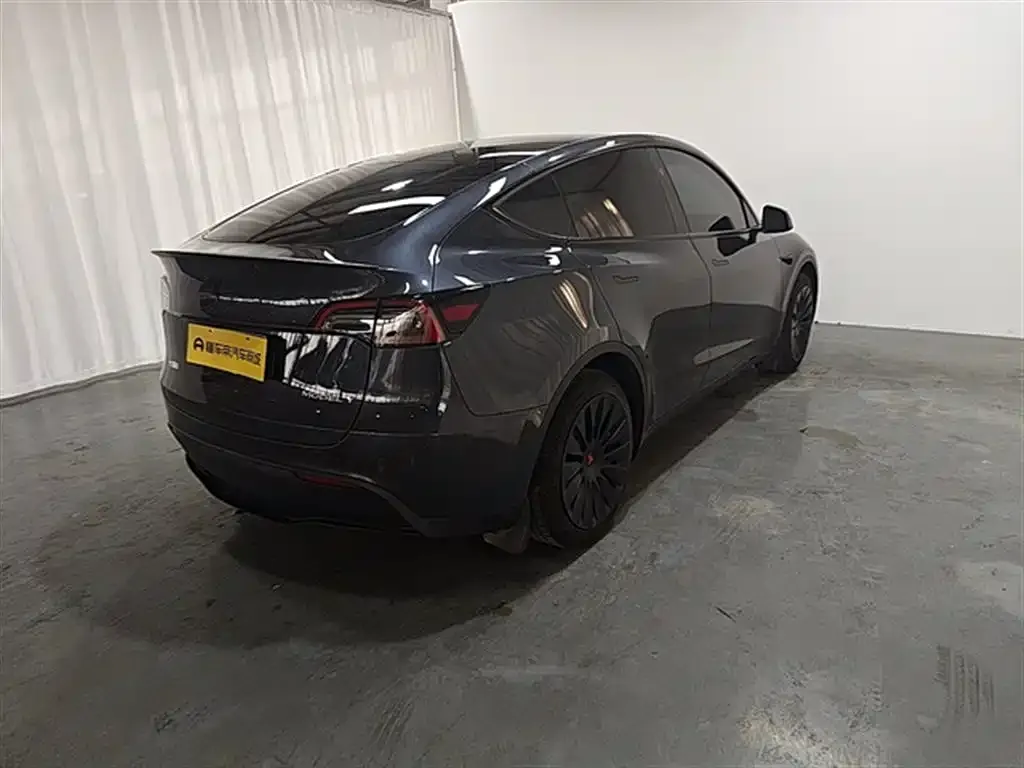 Tesla Model Y 2024 из CN, фото 6
