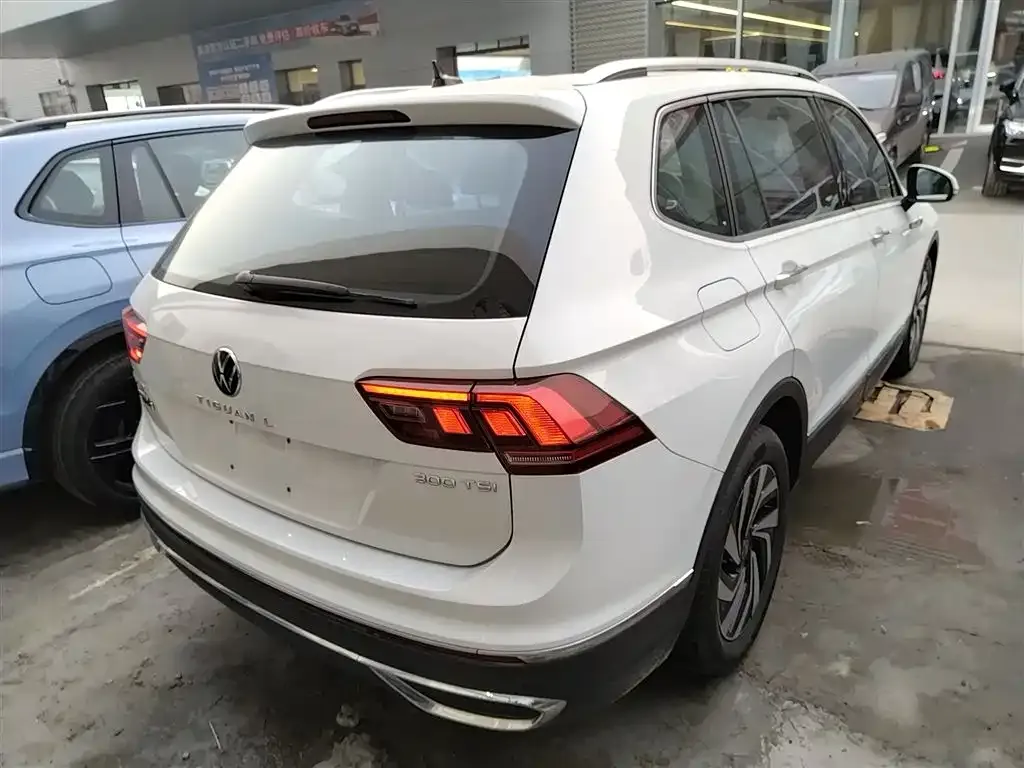 Volkswagen Tiguan L 2023 из CN, фото 6