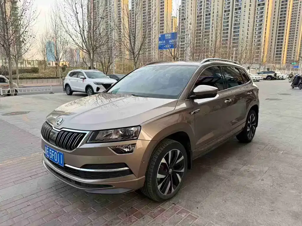 Skoda Karoq 2022 из CN, фото 1