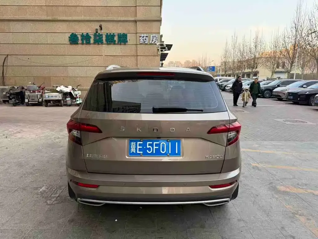 Skoda Karoq 2022 из CN, фото 10