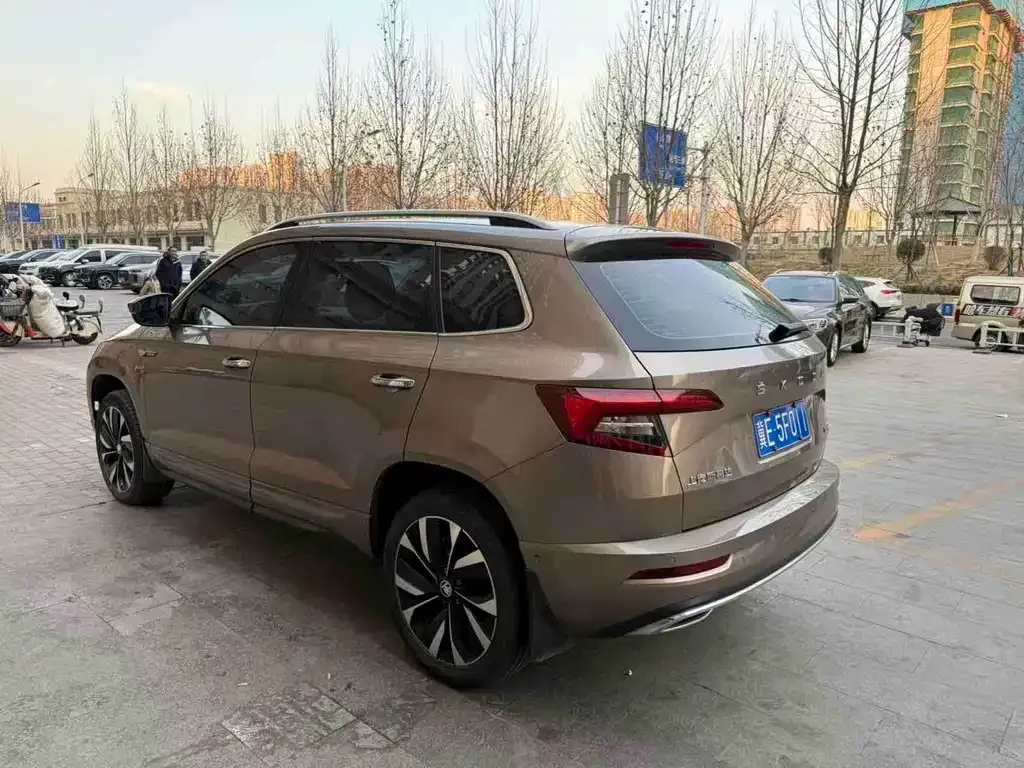 Skoda Karoq 2022 из CN, фото 4