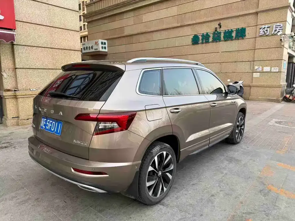 Skoda Karoq 2022 из CN, фото 3