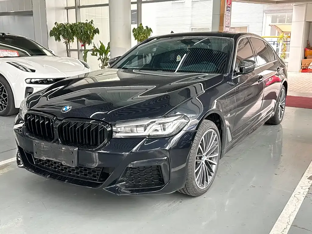 BMW 5 Series 2022 из CN, фото 1
