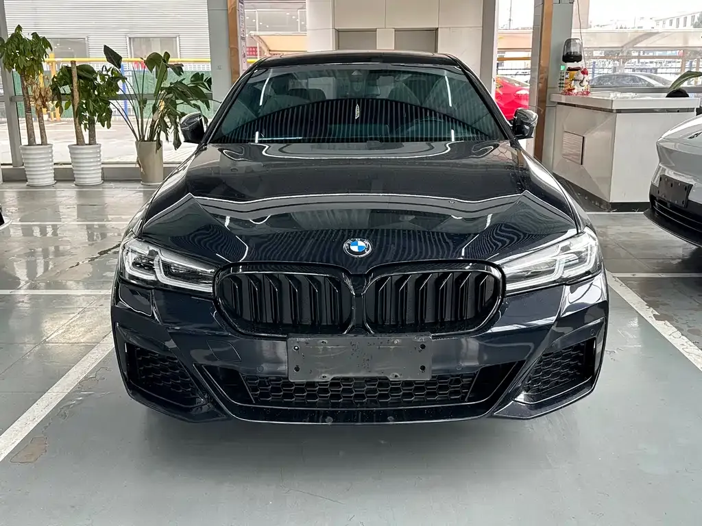 BMW 5 Series 2022 из CN, фото 7