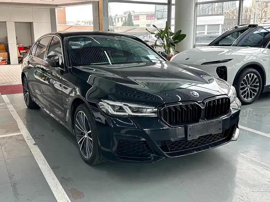 BMW 5 Series 2022 из CN, фото 10