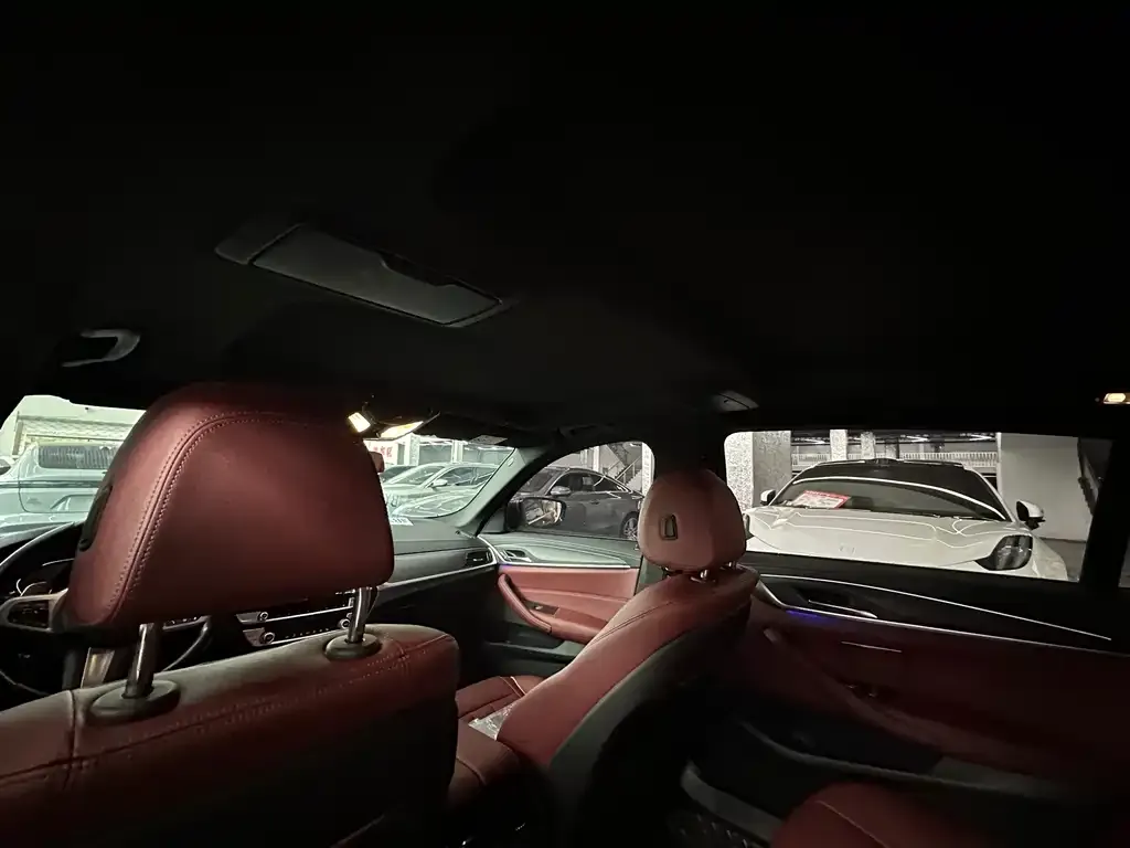 BMW 5 Series 2022 из CN, фото 6