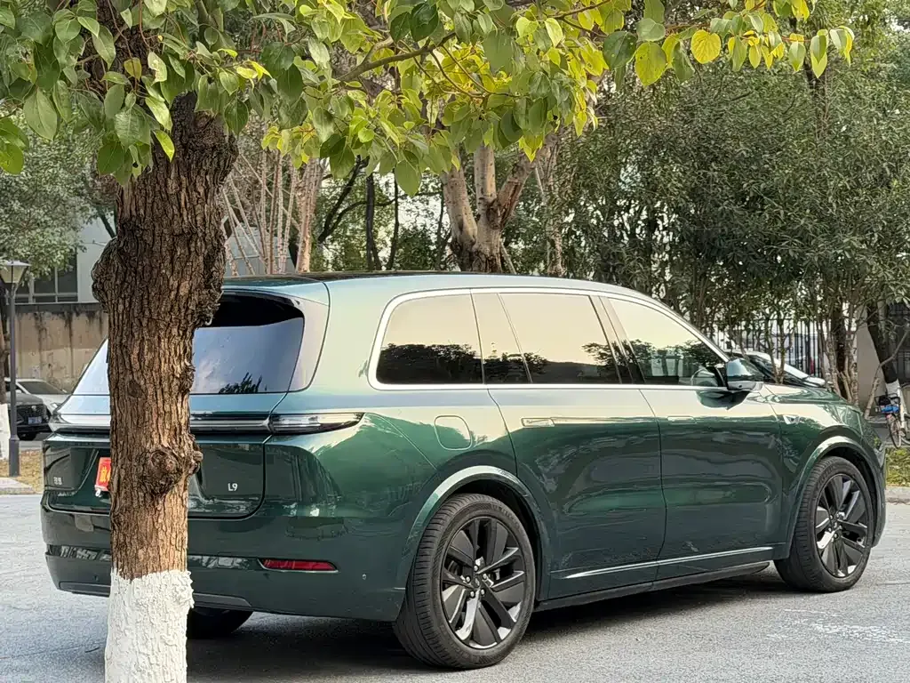 Li Auto L9 2023 из CN, фото 6