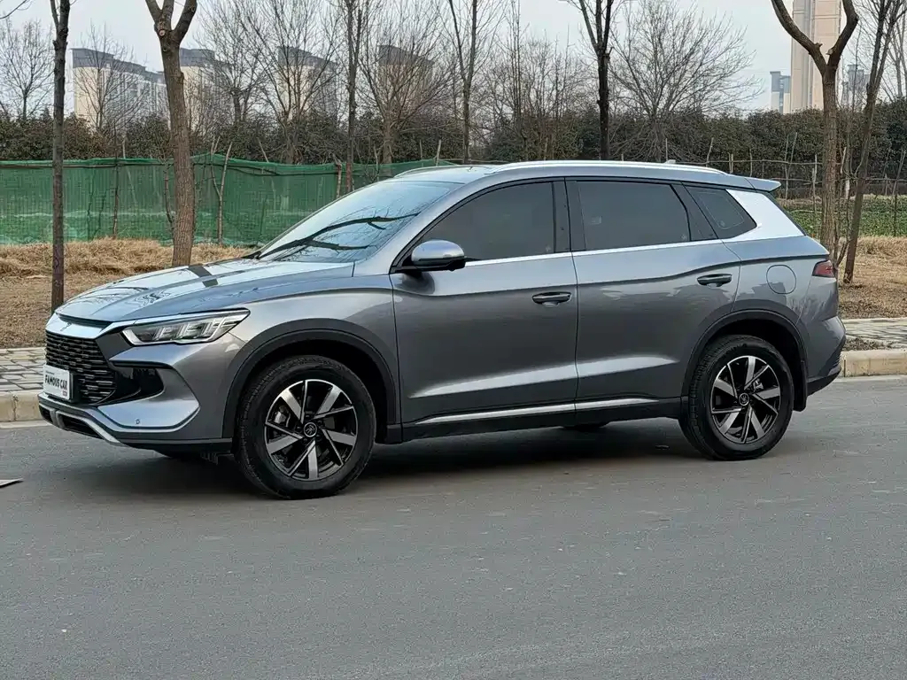 BYD Pro New Energy 2025 из CN, фото 1