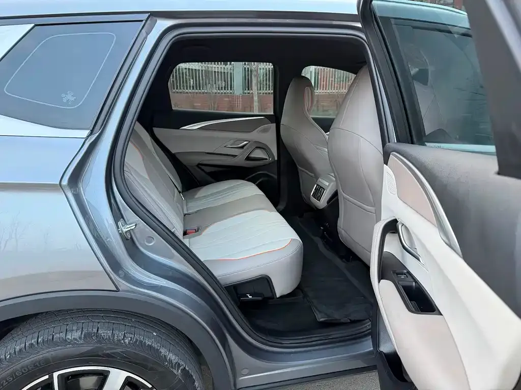 BYD Pro New Energy 2025 из CN, фото 7