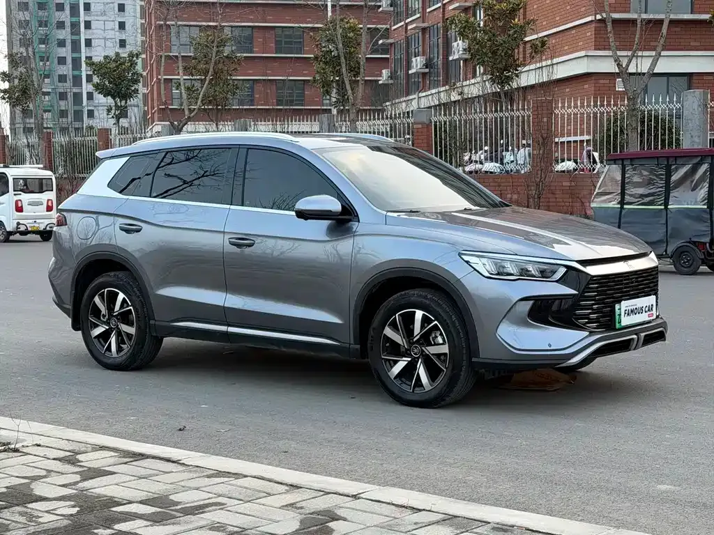 BYD Pro New Energy 2025 из CN, фото 8