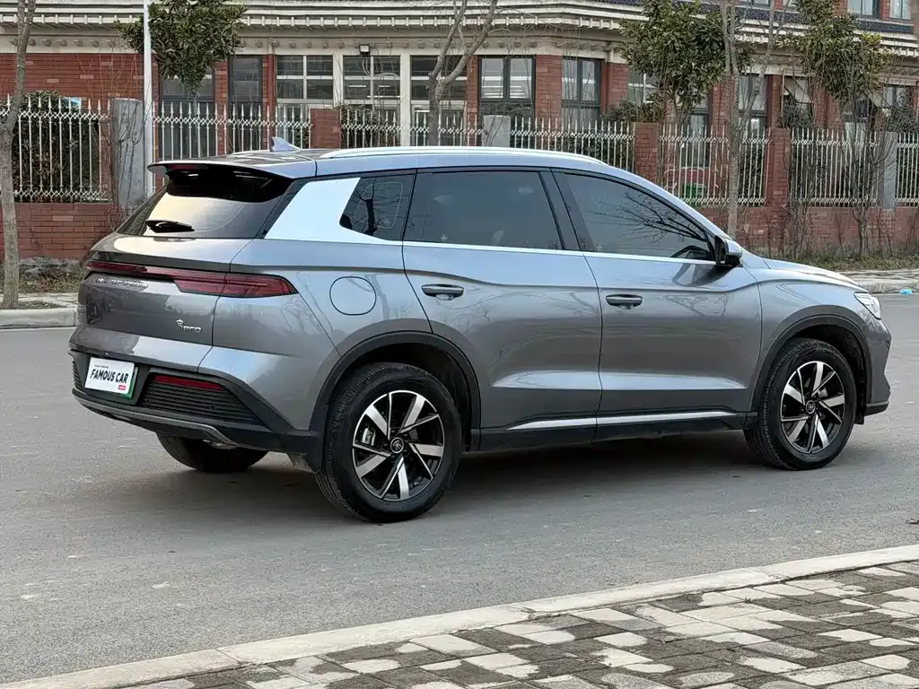 BYD Pro New Energy 2025 из CN, фото 9
