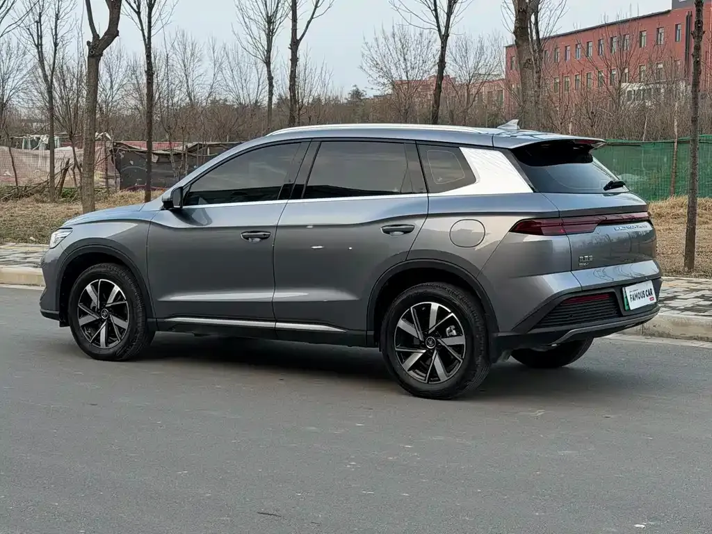 BYD Pro New Energy 2025 из CN, фото 2
