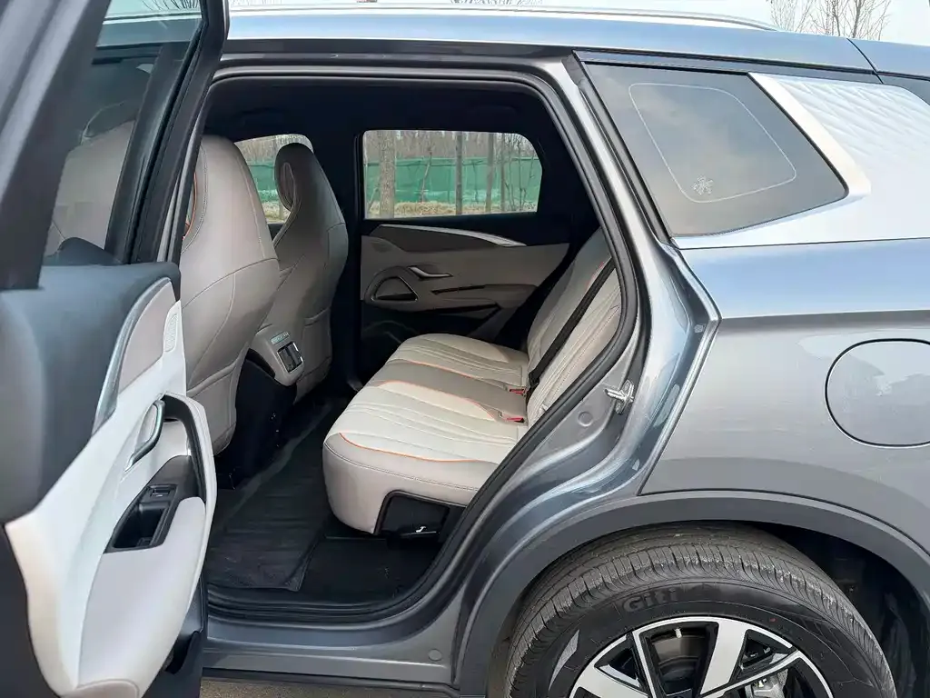 BYD Pro New Energy 2025 из CN, фото 10