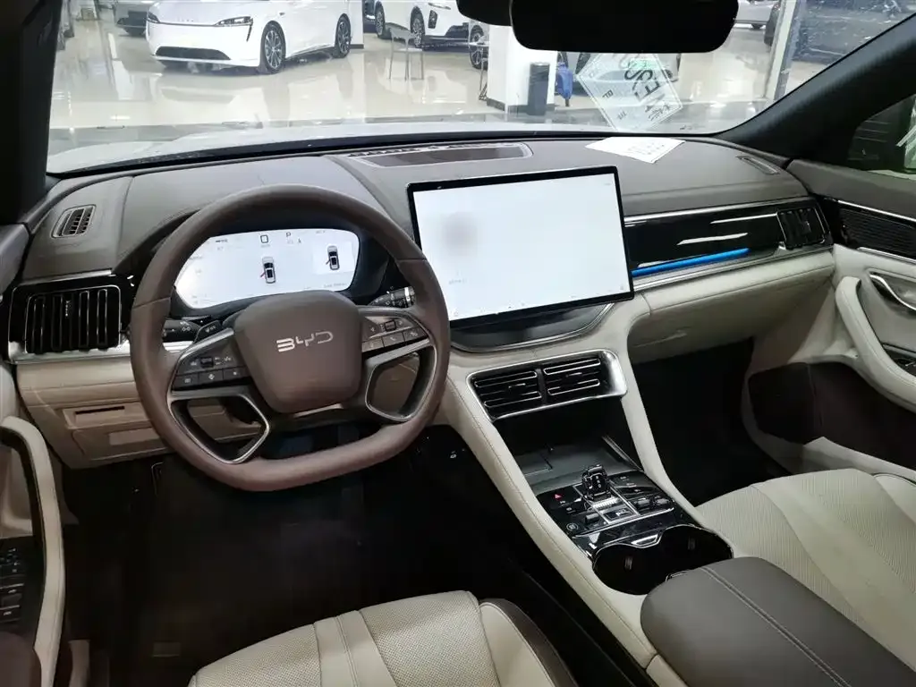 BYD PLUS New Energy 2025 из CN, фото 5