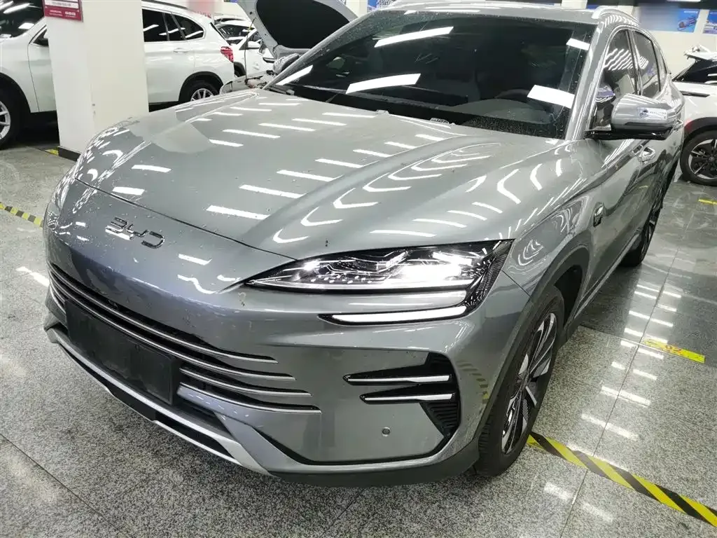 BYD PLUS New Energy 2025 из CN, фото 6