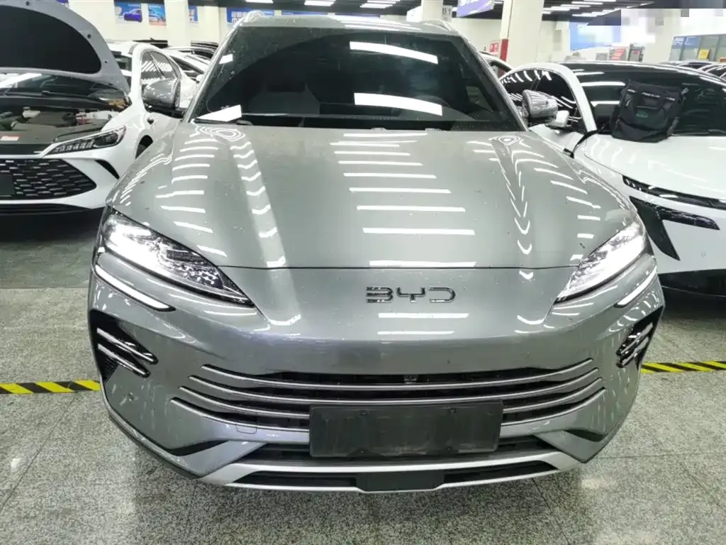 BYD PLUS New Energy 2025 из CN, фото 10