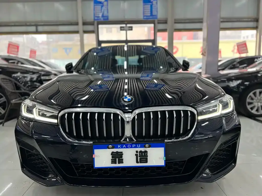 BMW 5 Series 2022 из CN, фото 4
