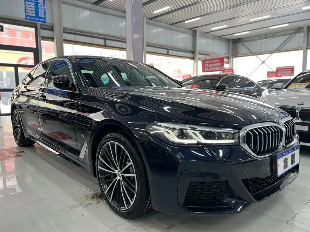 BMW 5 Series 2022 из CN, фото 9