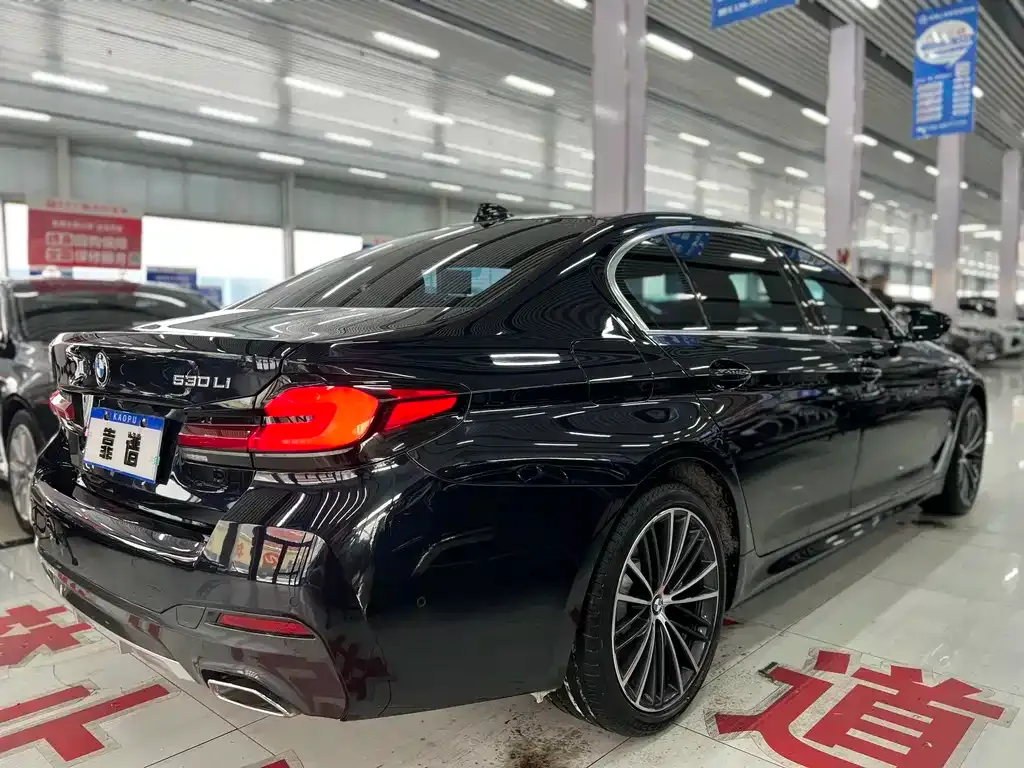 BMW 5 Series 2022 из CN, фото 7