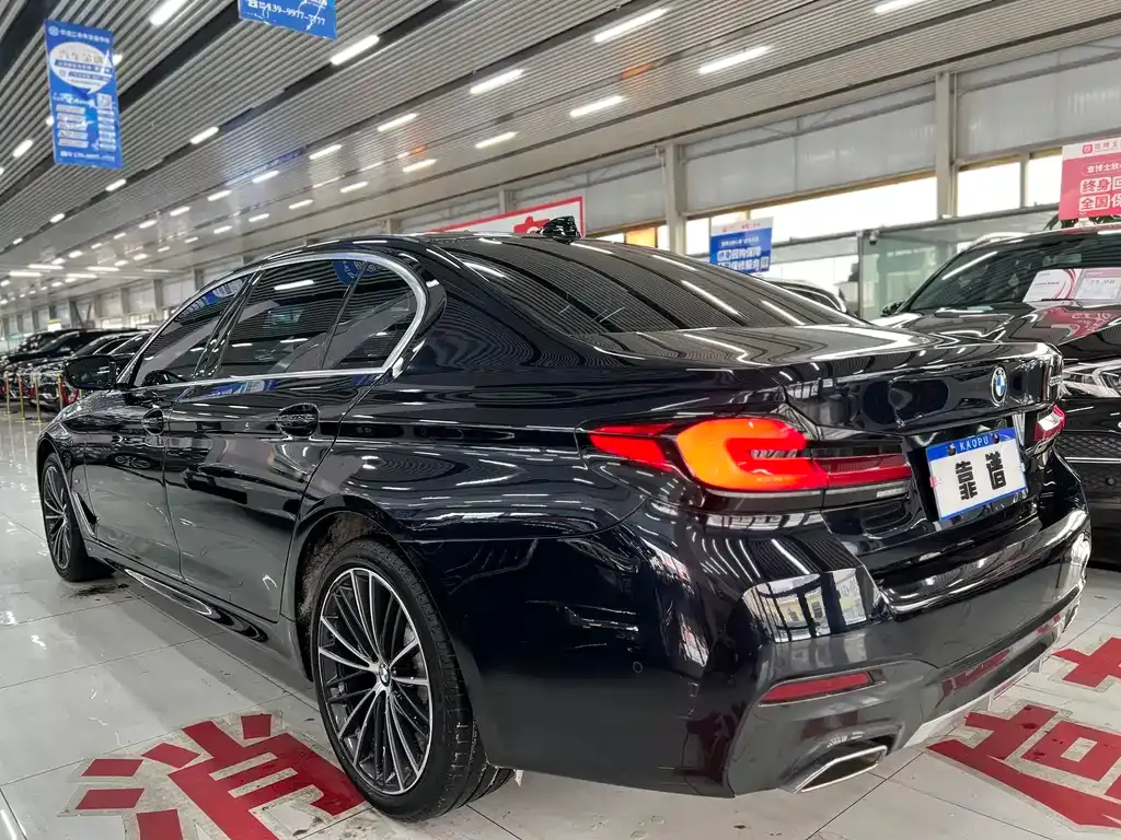BMW 5 Series 2022 из CN, фото 8