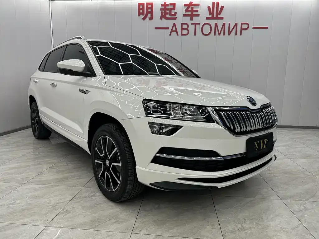 Skoda Karoq — фото 10