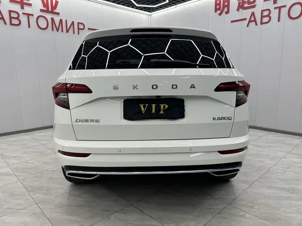 Skoda Karoq — фото 6