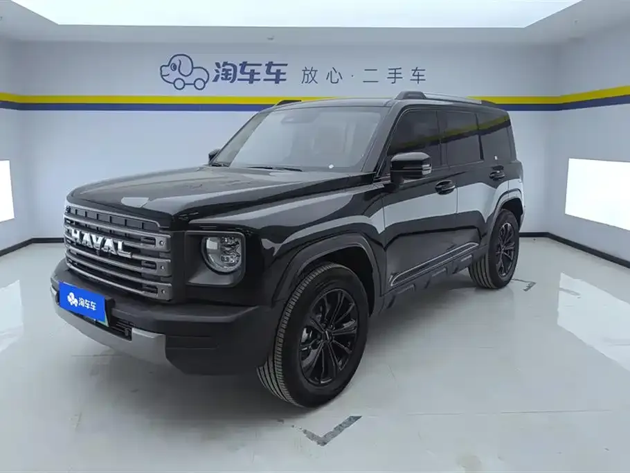 Haval Menglong New Energy 2024 из CN, фото 1