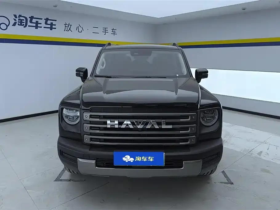 Haval Menglong New Energy 2024 из CN, фото 4