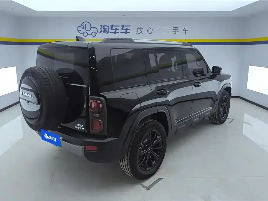 Haval Menglong New Energy 2024 из CN, фото 6