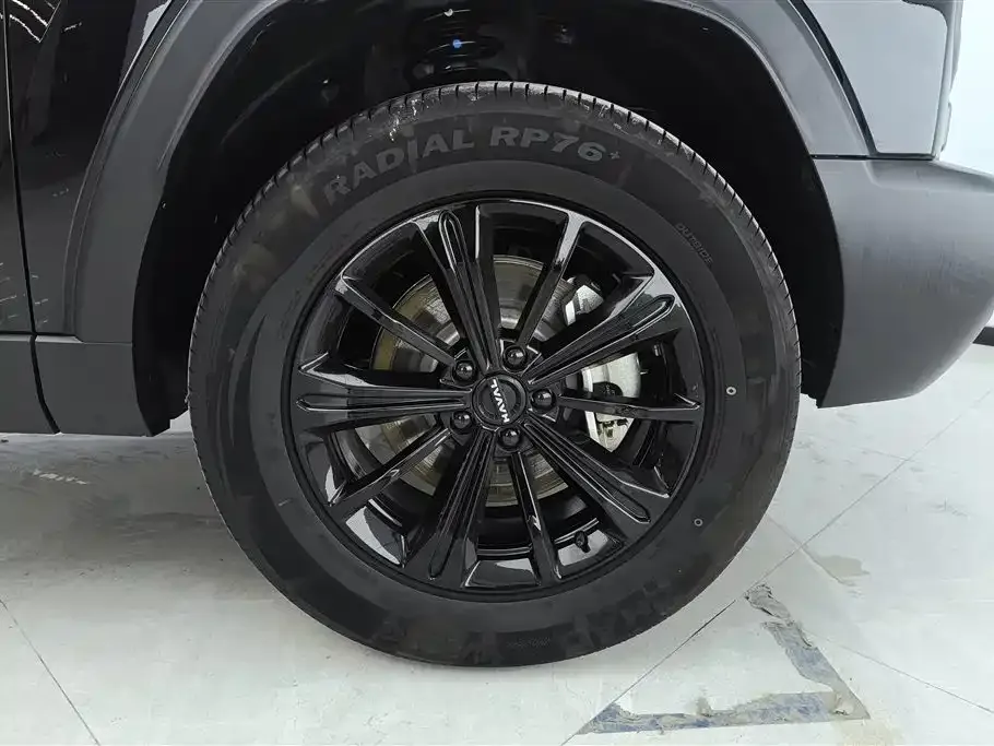 Haval Menglong New Energy 2024 из CN, фото 9