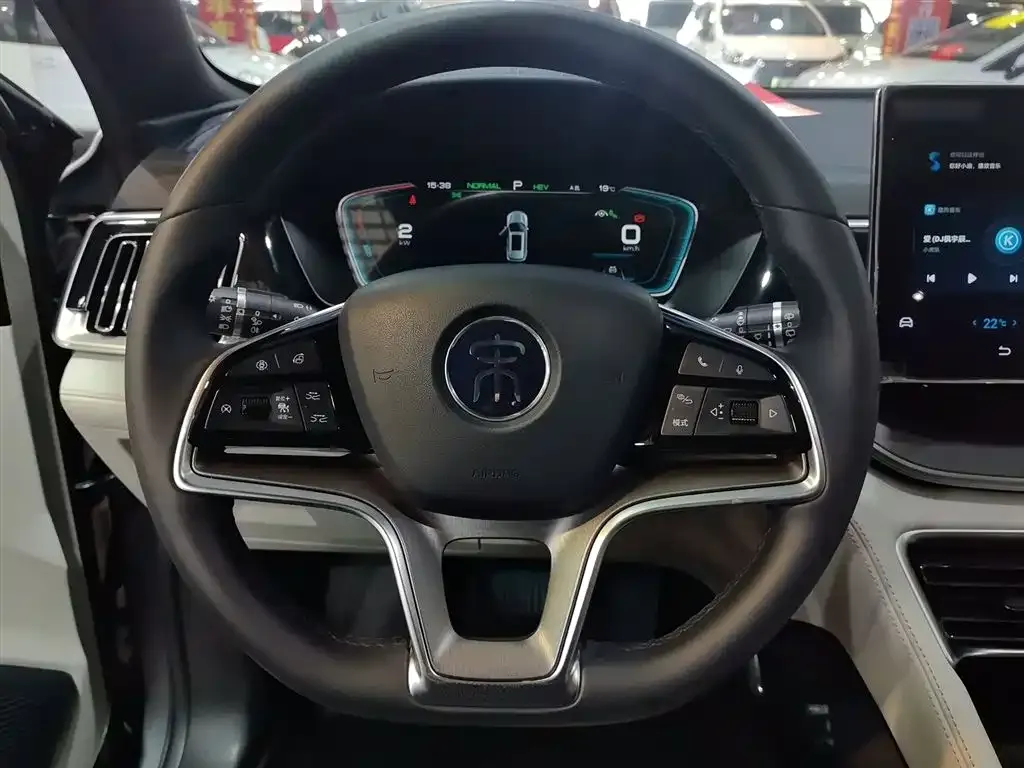 BYD PLUS New Energy 2022 из CN, фото 6