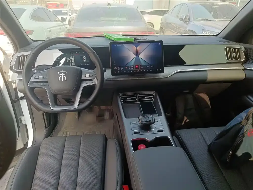 BYD Pro New Energy 2025 из CN, фото 9