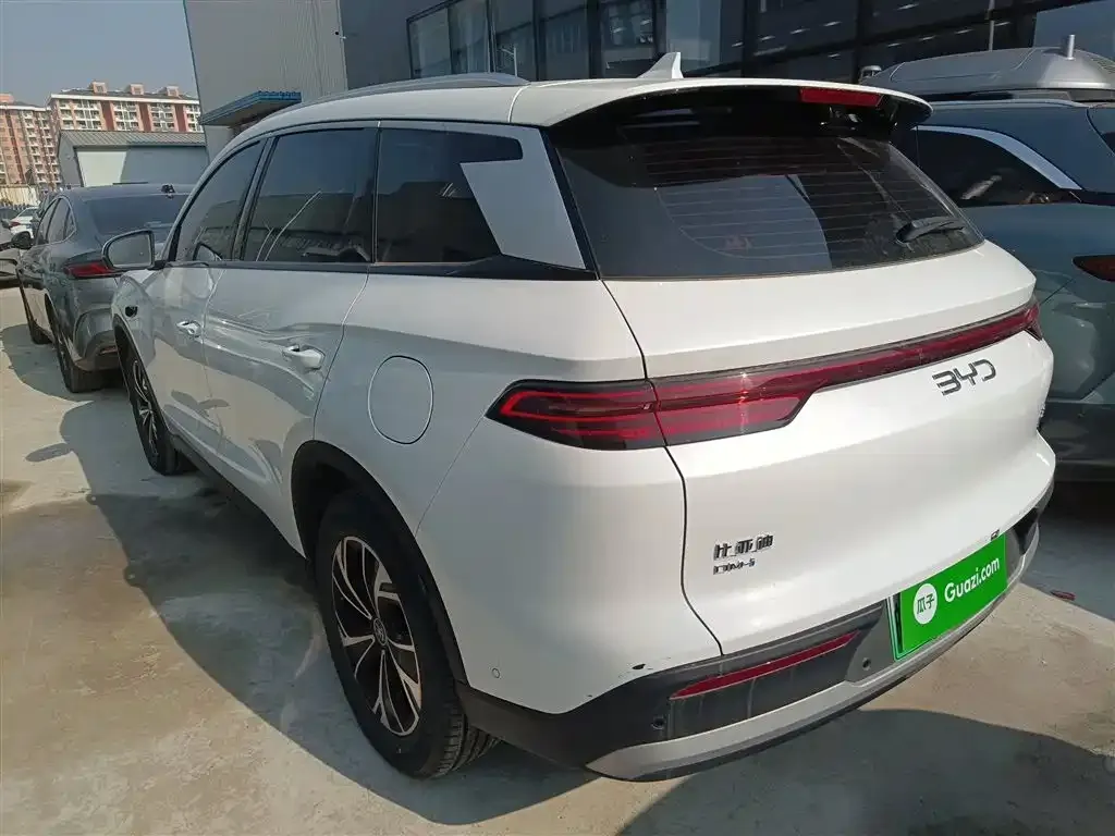 BYD Pro New Energy 2025 из CN, фото 10