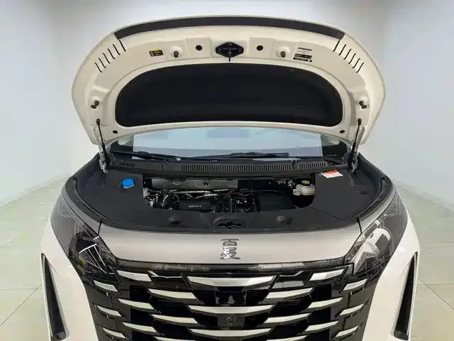 BYD Xia 2025 из CN, фото 6