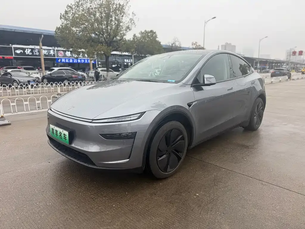 Tesla Model Y 2025 из CN, фото 1