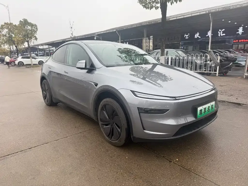 Tesla Model Y 2025 из CN, фото 9