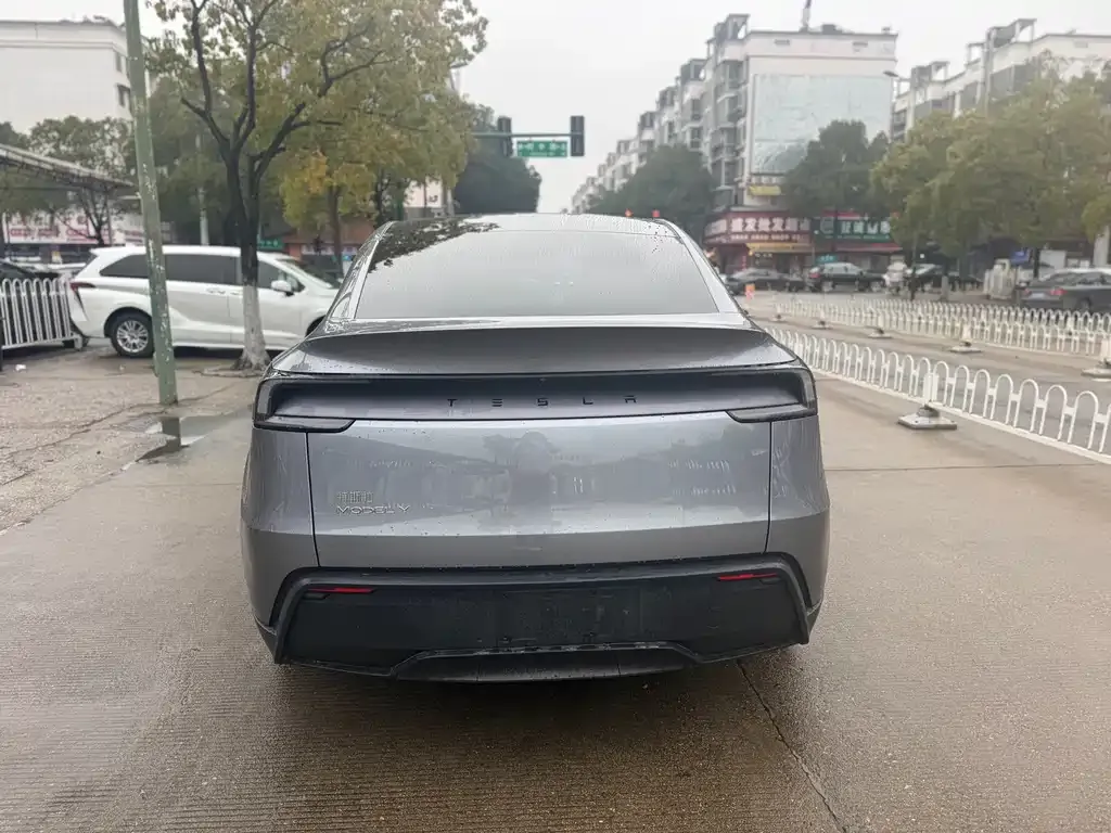Tesla Model Y 2025 из CN, фото 2