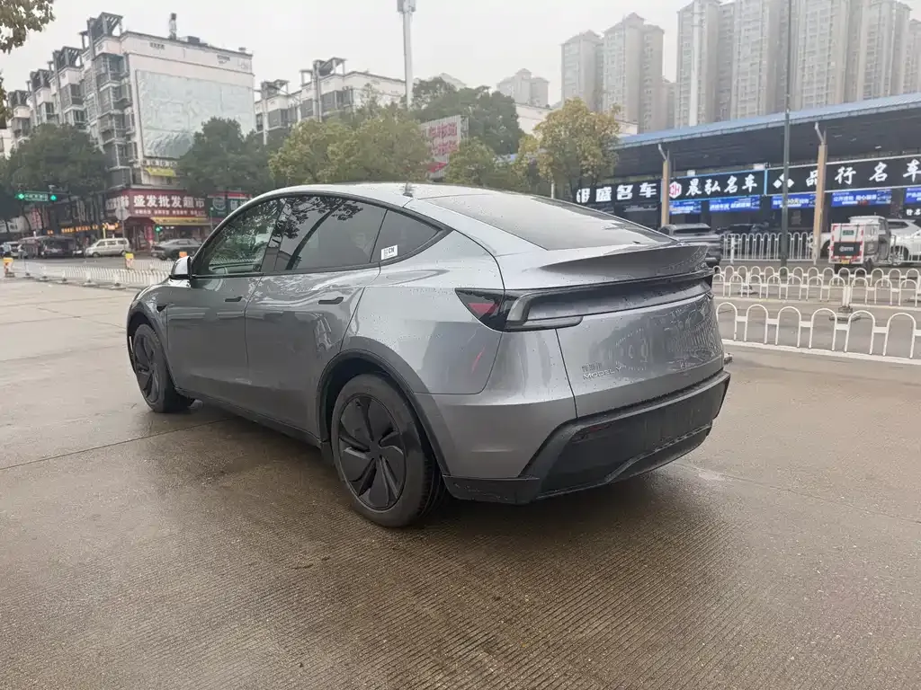 Tesla Model Y 2025 из CN, фото 8