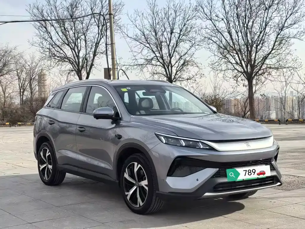 BYD Pro New Energy — фото 10