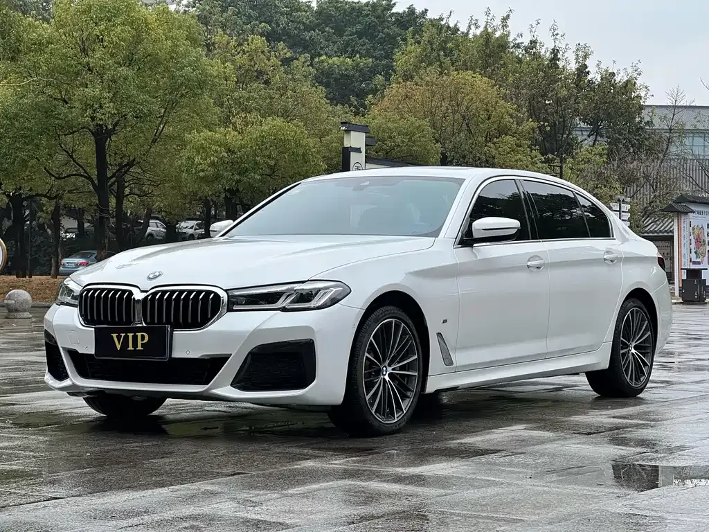 BMW 5 Series 2021 из CN, фото 1