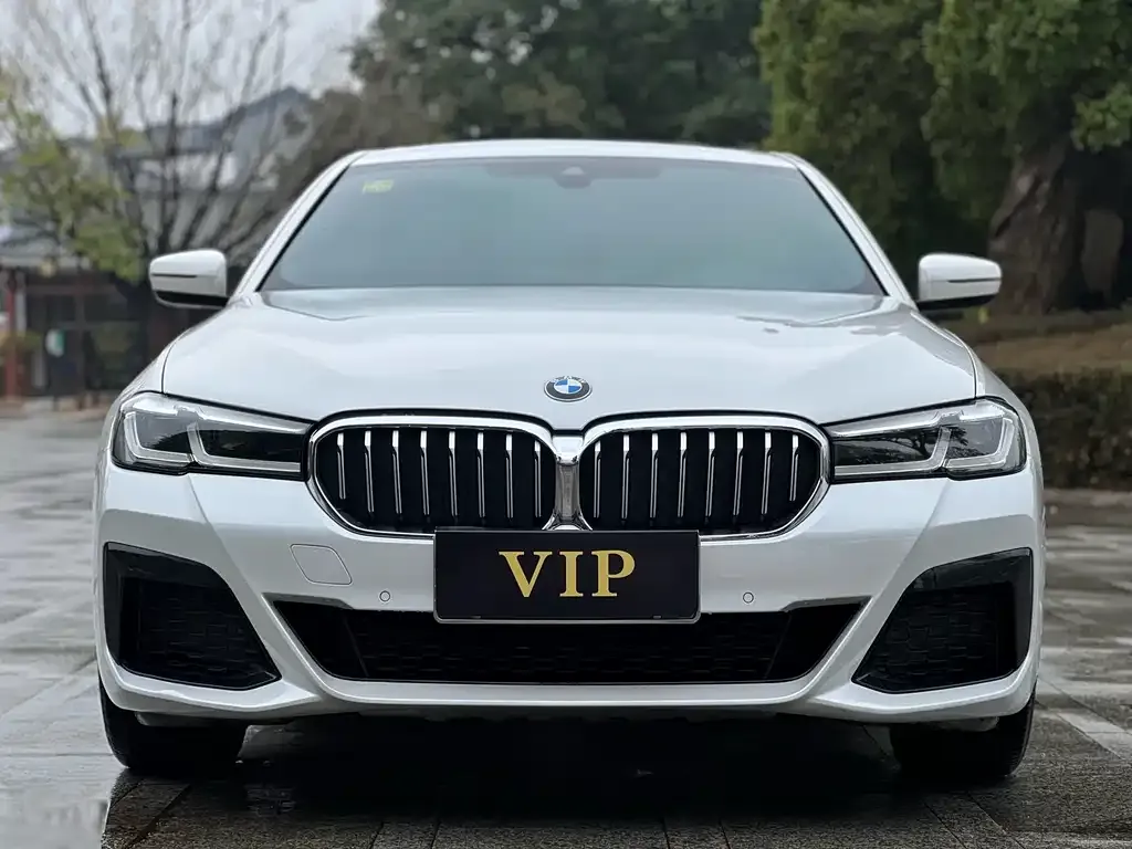 BMW 5 Series 2021 из CN, фото 5