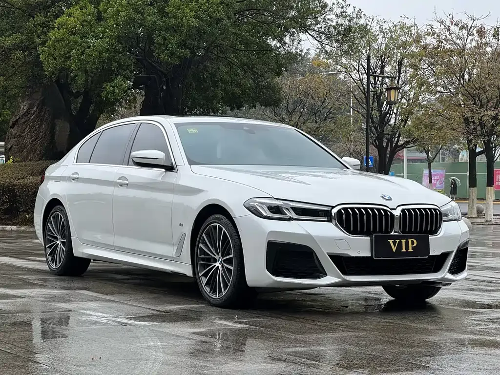 BMW 5 Series 2021 из CN, фото 8
