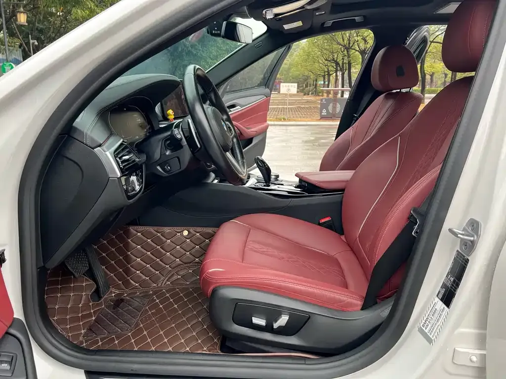 BMW 5 Series 2021 из CN, фото 4