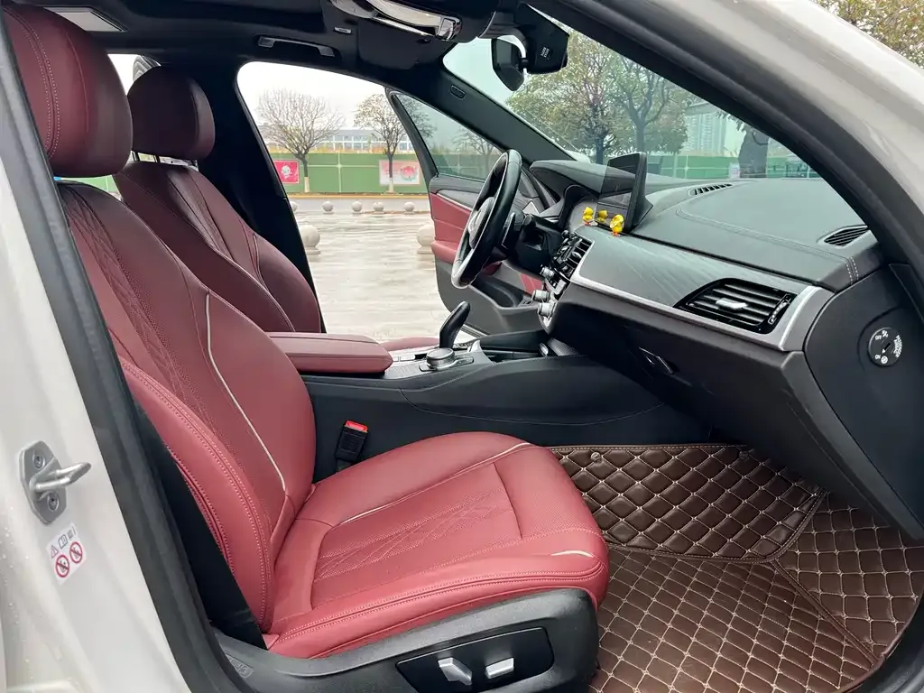 BMW 5 Series 2021 из CN, фото 10