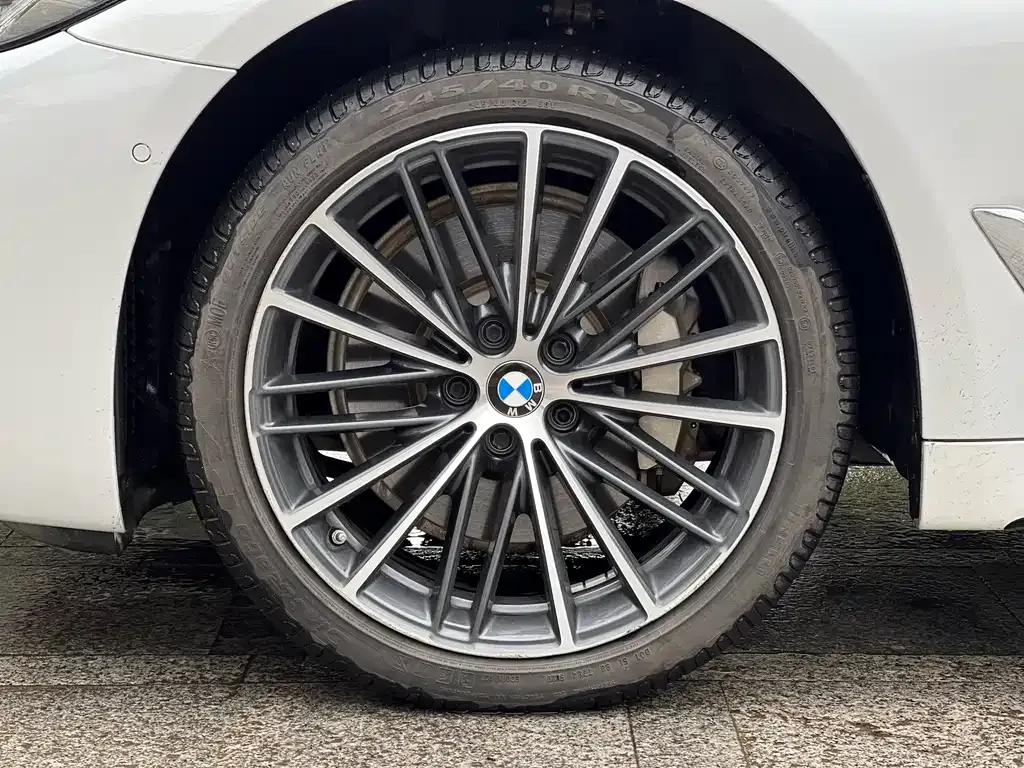 BMW 5 Series 2021 из CN, фото 3