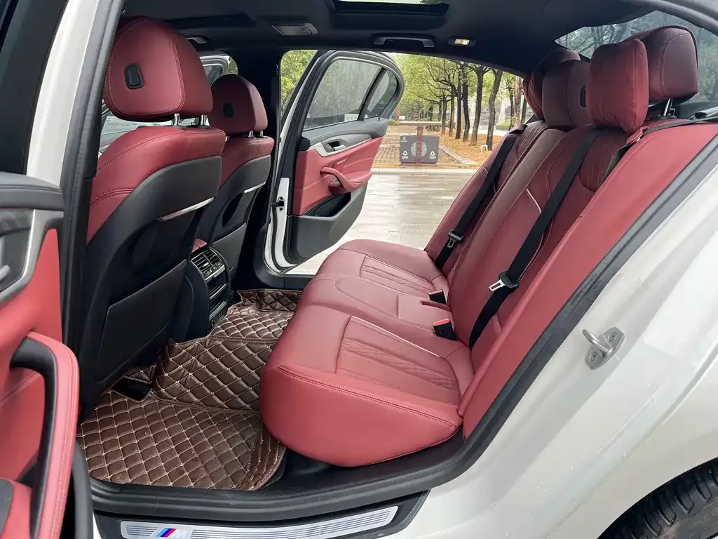 BMW 5 Series 2021 из CN, фото 7