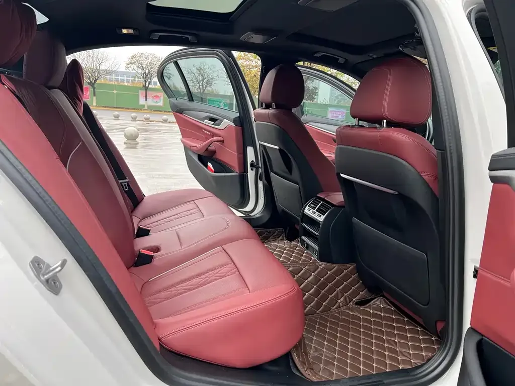 BMW 5 Series 2021 из CN, фото 2